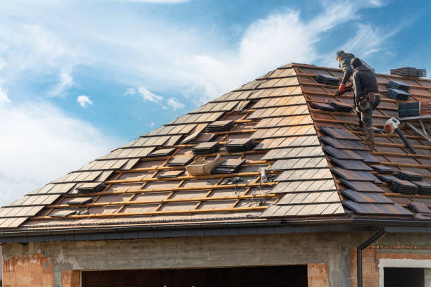 Best Storm Damage Roof Repair  in Snowflake, AZ